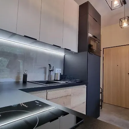 The Loft Lejlighed Szklarska Poręba